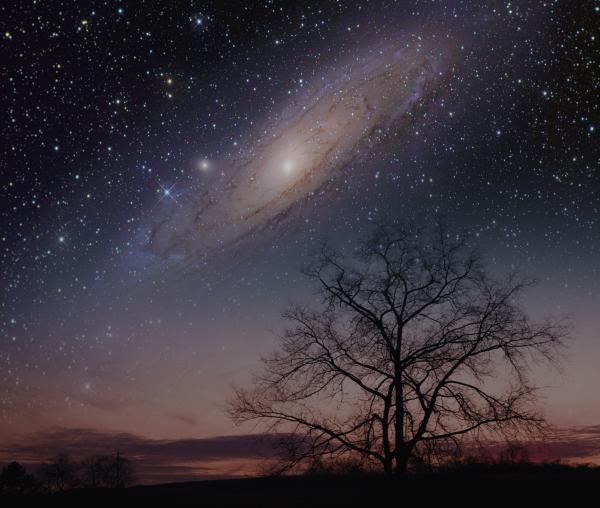 Andromeda Night Sky