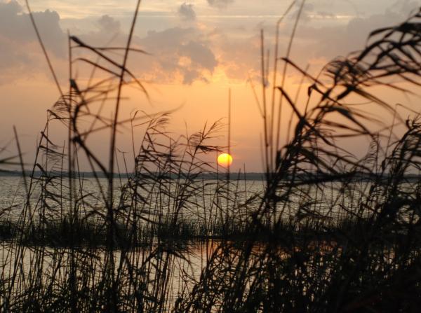 Lake Monroe Fl