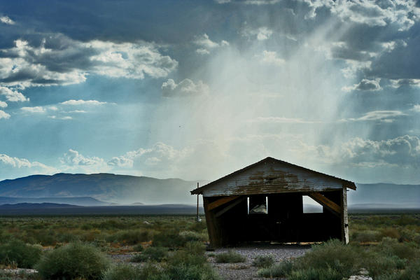 Rain In Desert