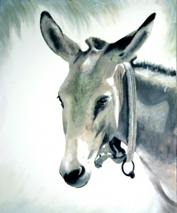 Donkey Painting
