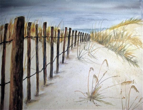 dune fence