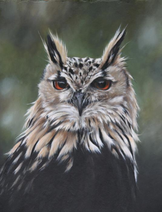 Eurasian Eagle Owl Painting Lara Virginia