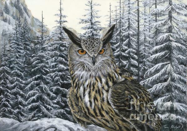 Eurasian Eagle Owl Painting Eurasian Eagle Owl Fine Art Print Tom
