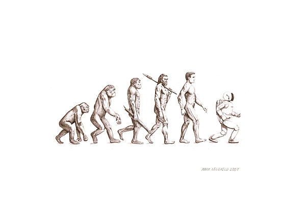 Evolution by Mark Lelieveld