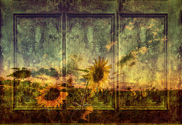 Fields Of Sun Digital Art by Leapdaybride Photographic Art ... Fields Of Sun Digital Art by Leapdaybride Photographic Art ...
