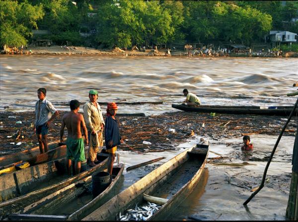 Fish In River