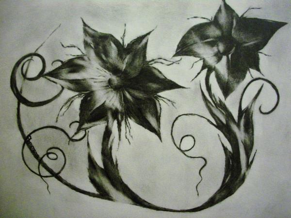 Flower Sketch Drawing - Flower