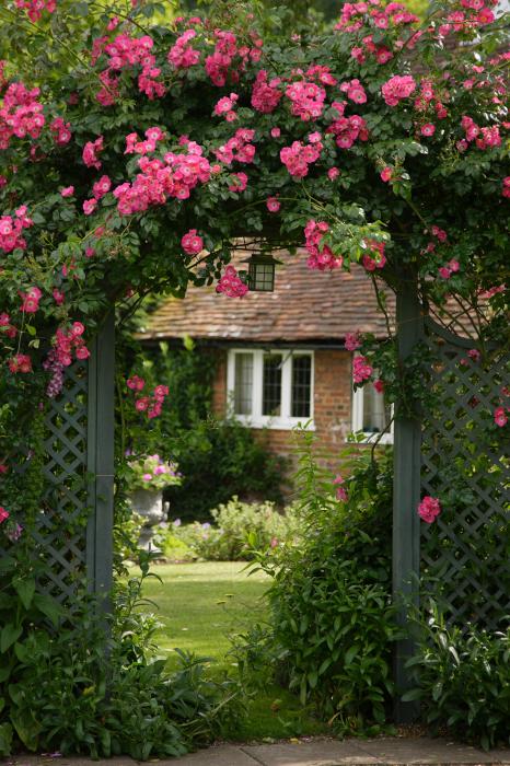 Trellis With Flowers