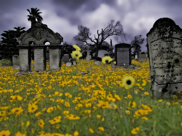 flowers graveyard