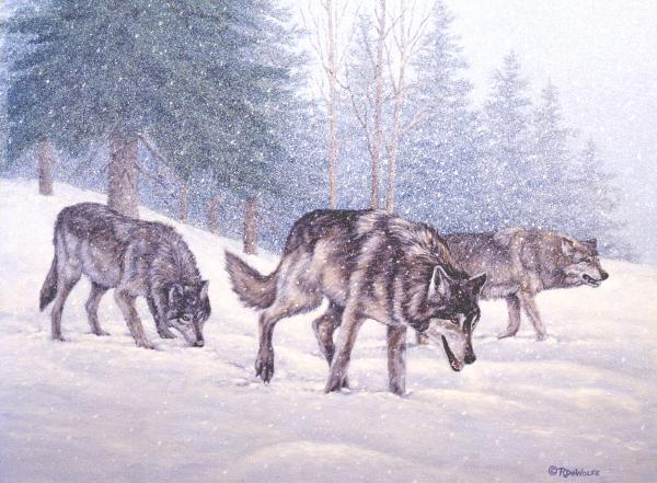 Wolf Pack Art