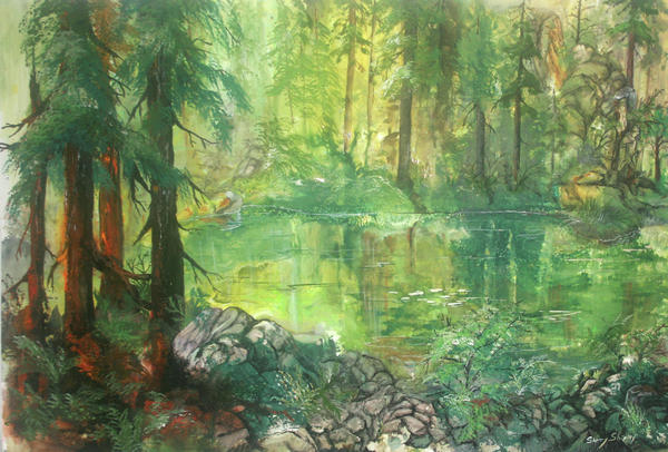 Pond And Forest