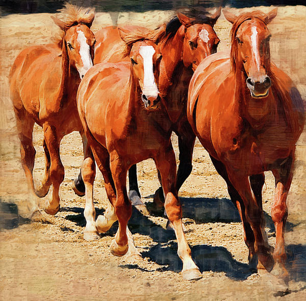 Horses Running Painting