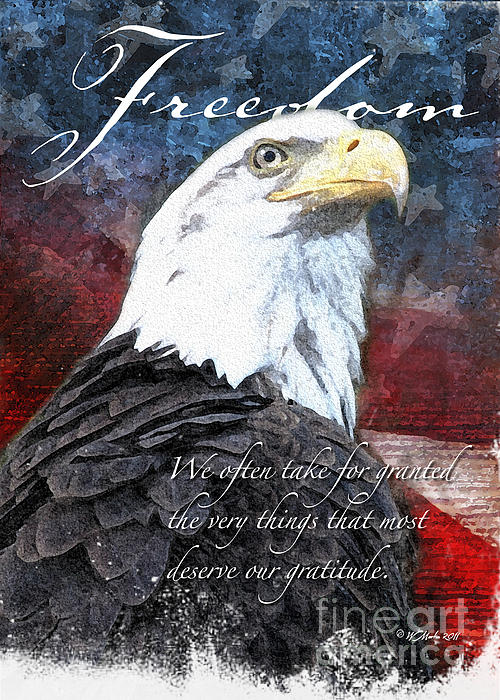 Freedom Eagle