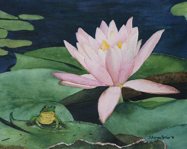 Frog and Water Lily Painting  - Frog and Water Lily Fine Art Print
