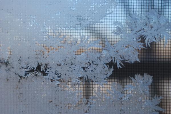 Frosted Glass Photograph Frosted Glass Photograph