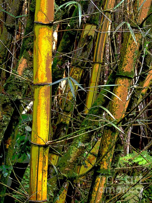 hawaiian bamboo