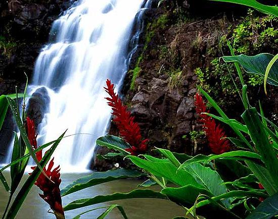 Beautiful Hawaiian Waterfalls