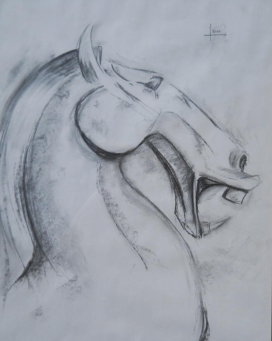 horse drawing face