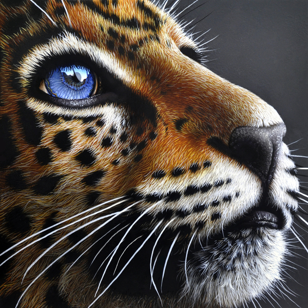 Jaguar Cub Painting  - Jaguar Cub Fine Art Print