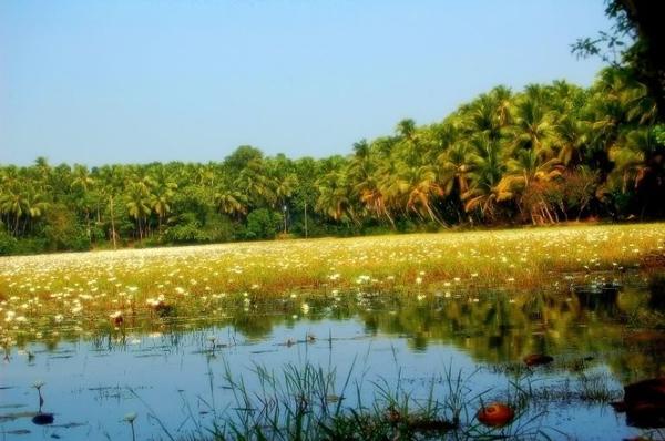 Landscape Of Kerala