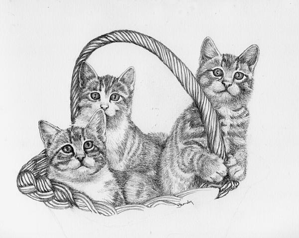 kittens drawing