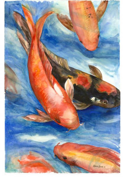 koi fish painting