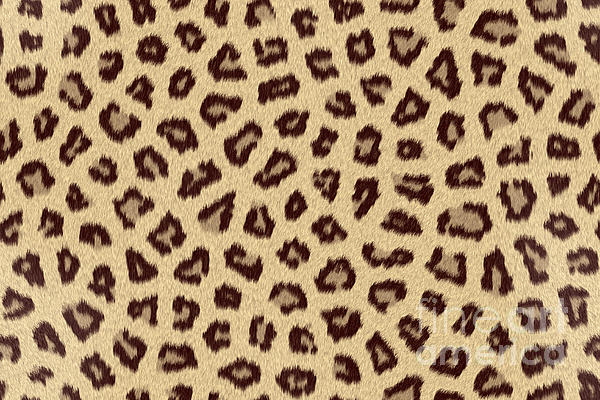 leopard skin print