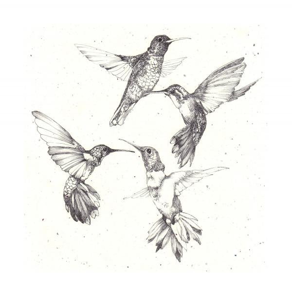 Drawings Of Hummers