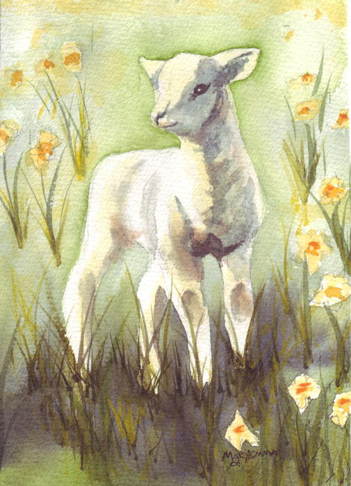 Little Lamb Pictures