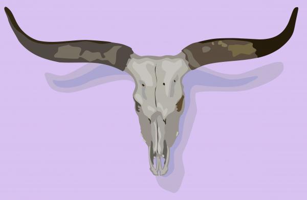Longhorn Skull Digital Art - Longhorn Skull Fine Art Print - Robert Bissett