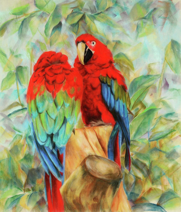 love birds painting by usha p love birds fine art prints and love birds 597x700