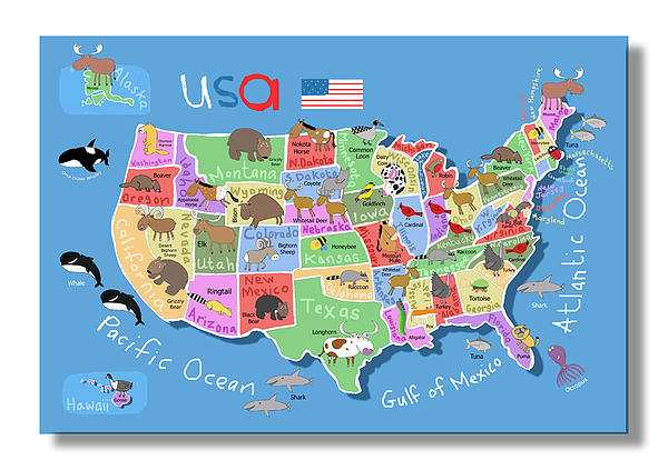  - map-of-america-carla-daly