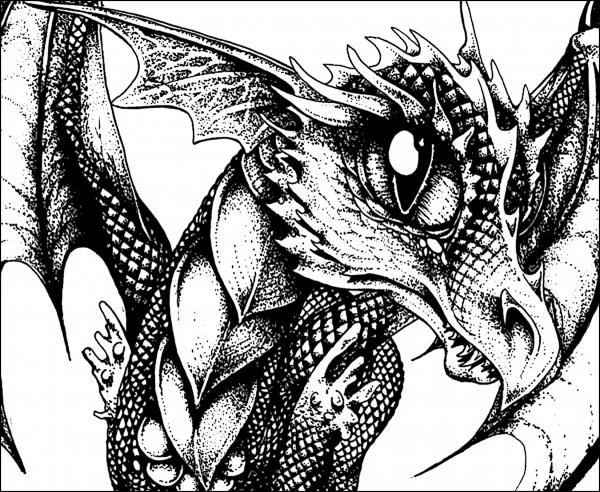 Black Dragon Drawings
