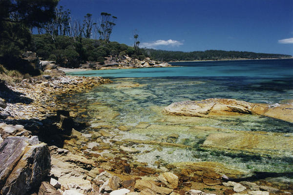  - maria-island-coastline-tasmania-jane-mcdougall