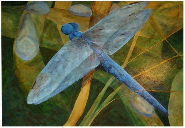 Blue+dragonflies+pictures