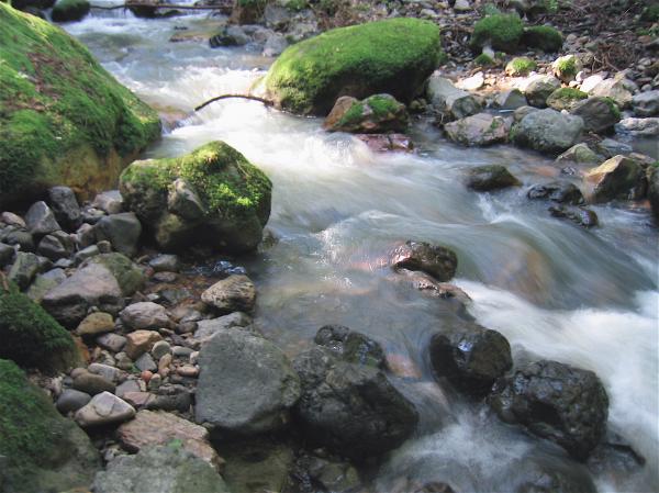 Stream Bed