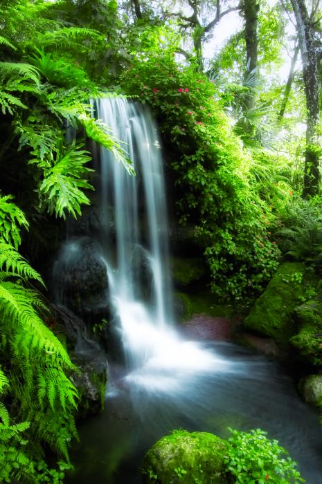 http://images.fineartamerica.com/images-medium/natural-spring-waterfall-rich-leighton.jpg