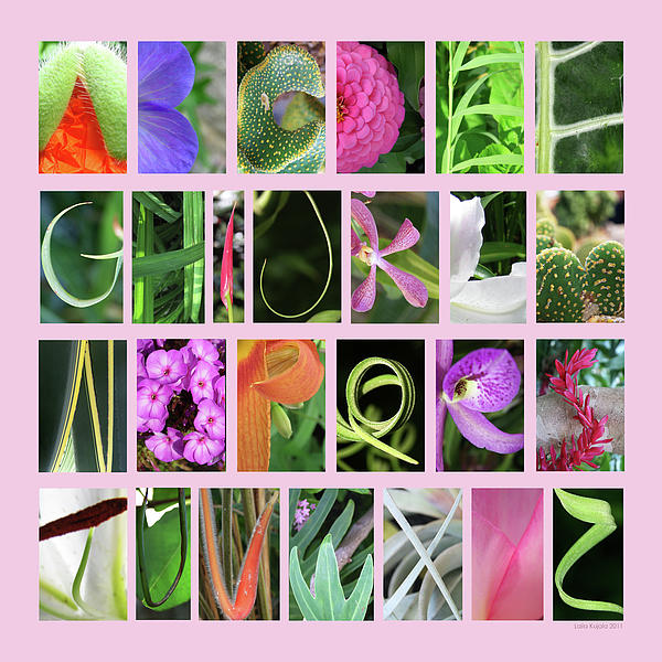 Nature Alphabet 2 In Pink Print by Laila Kujala