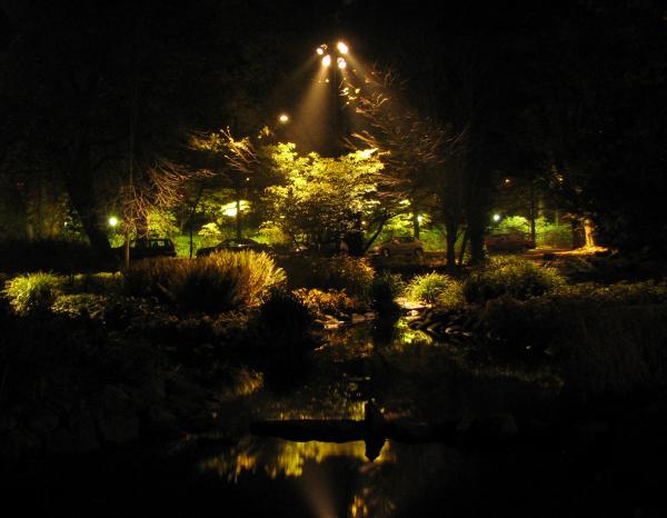 night-garden-art-nomad-sandra-hansen.jpg
