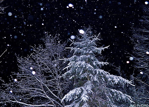 night-snowfall-julie-clark.jpg