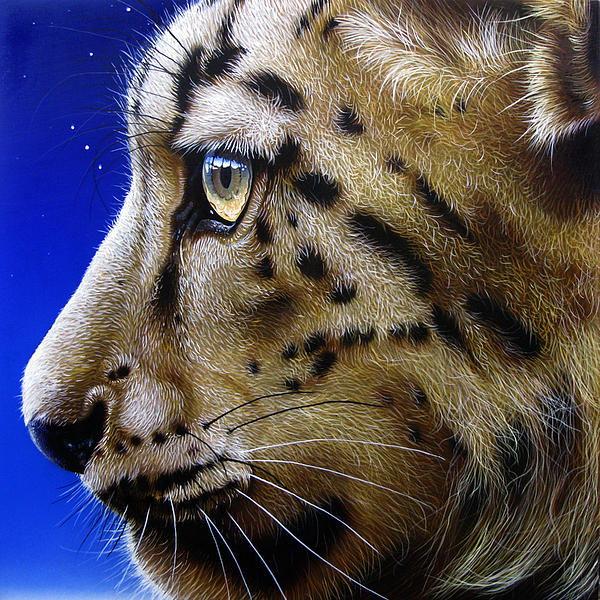 Nina the Snow Leopard Painting  - Nina the Snow Leopard Fine Art Print