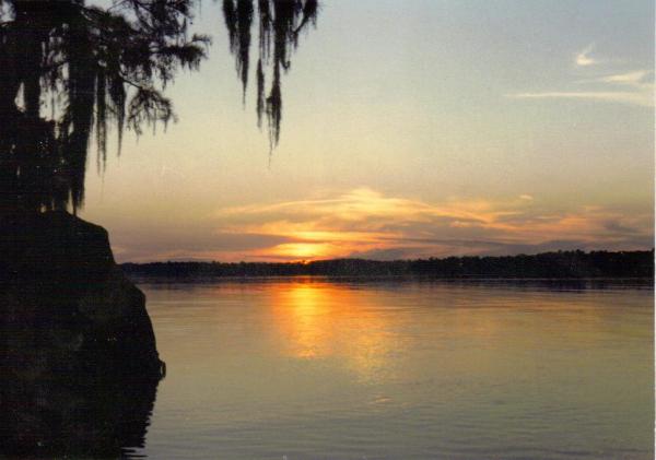 Pond Sunset