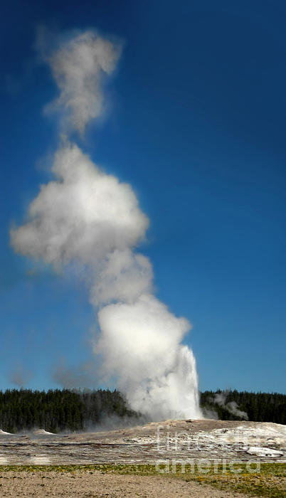 Old Faithful Eruption By Gregory Dyer