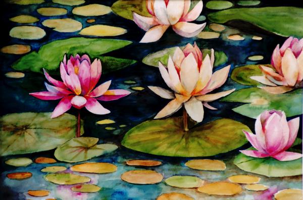 Lily Pond