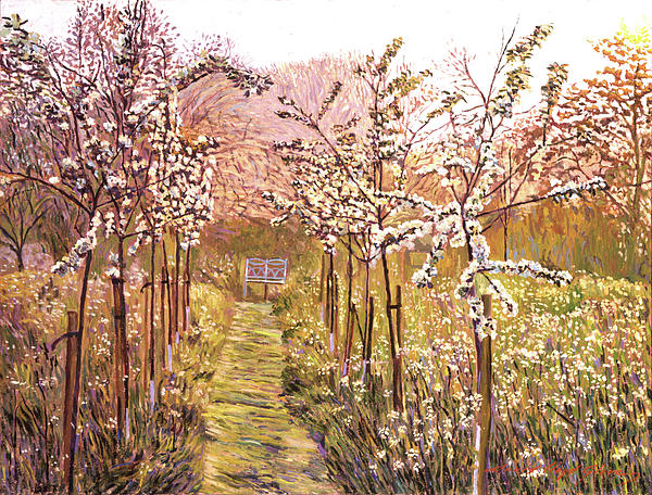 Orchard Morning Painting  - Orchard Morning Fine Art Print
