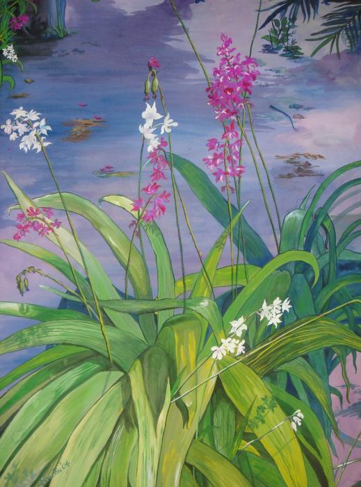  - orchids-in-my-garden-sindhu-nambiar