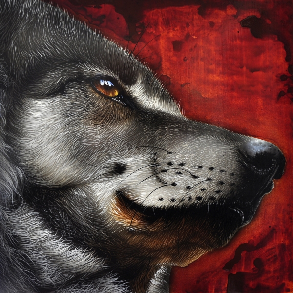 Orion Wolf Painting  - Orion Wolf Fine Art Print