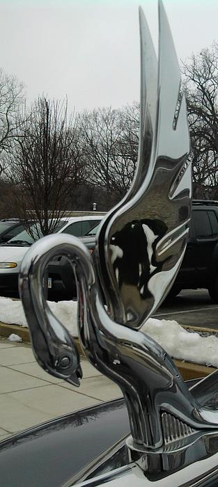 Packard Hood Ornament II Photograph - Packard Hood Ornament II Fine Art