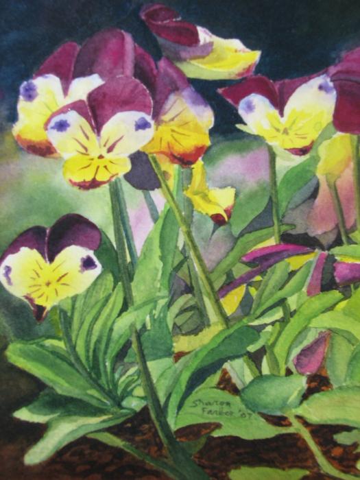 Pansies Painting  - Pansies Fine Art Print
