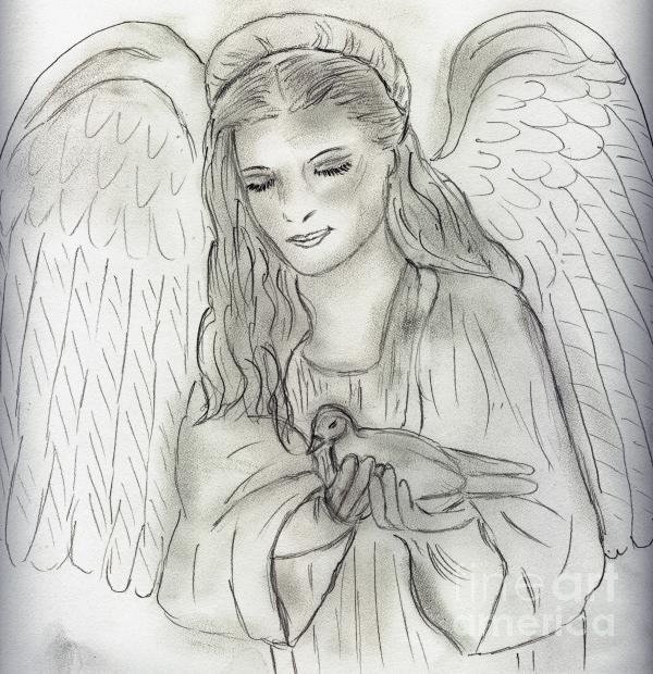 Peaceful Angel Drawing Peaceful Angel Fine Art Print Sonya Chalmers